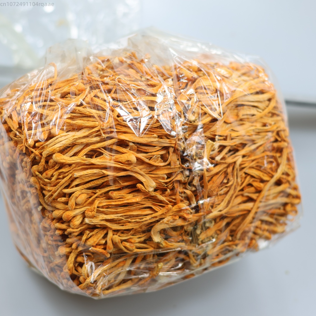 250g/500g Premium Natural Drie - đánh giá và giá Candle Making Uk