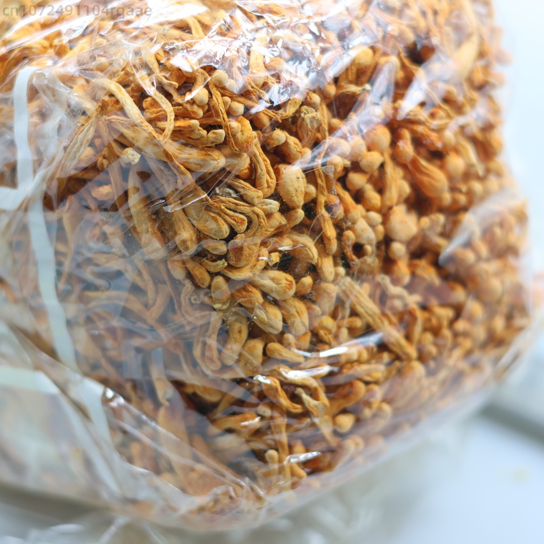 250g/500g Premium Natural Drie - đánh giá và giá Candle Making Uk